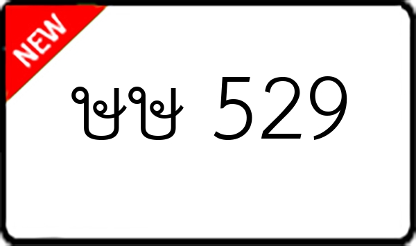 ษษ 529